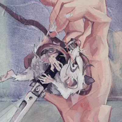 Séptima imagen del banner inferior